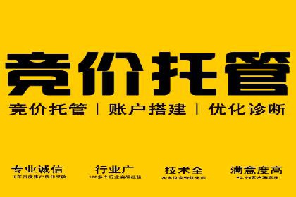SEM代运营效果评估：数据说话的营销策略